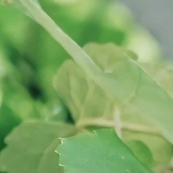 以德化人，厚德而行，福自至矣。以书育人，以书引善，以书养德。上士忘善，中士行善，