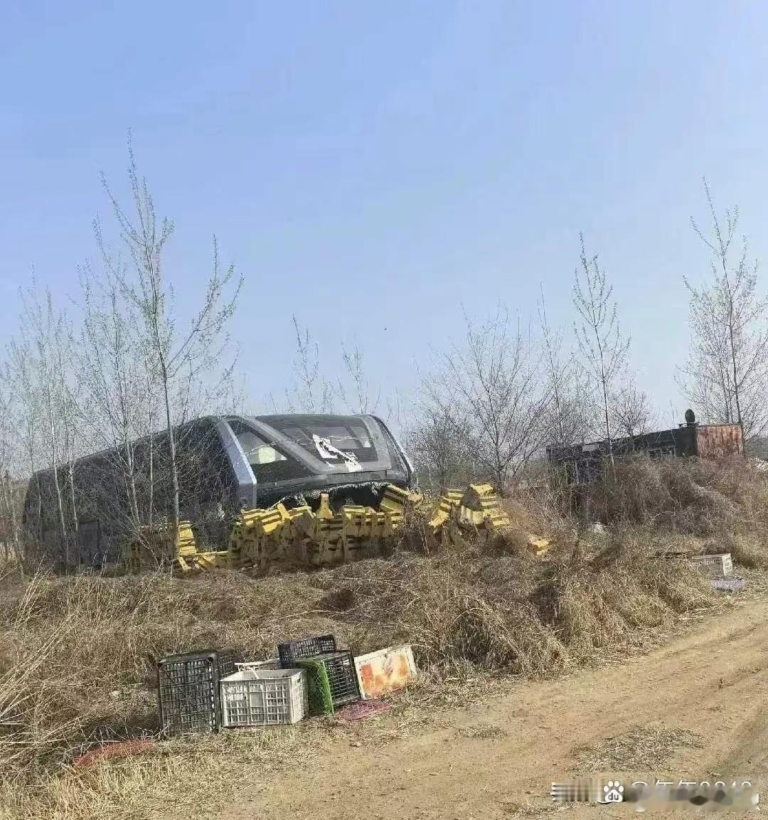 这货当年叫啥来着？？？？。 ​​​