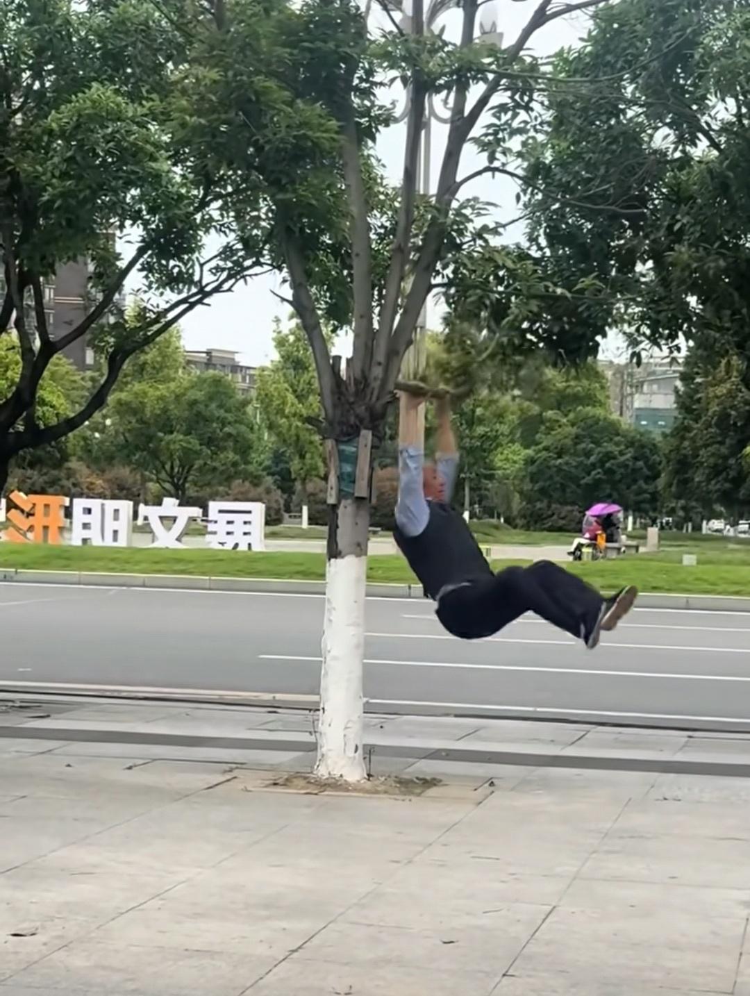 成都的马路不是运动场，成都的树木也不是运动器械，不要和生灵过不去，作孽总是有报应