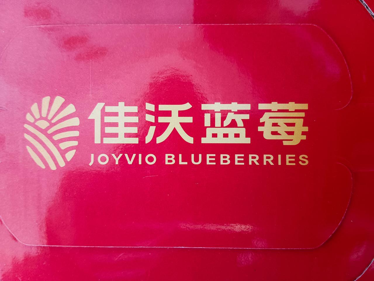 杨晨记。今天杨晨来，爷俩聊天。他就读于西藏大学，研究高原湖泊，也是我带的孩子中，