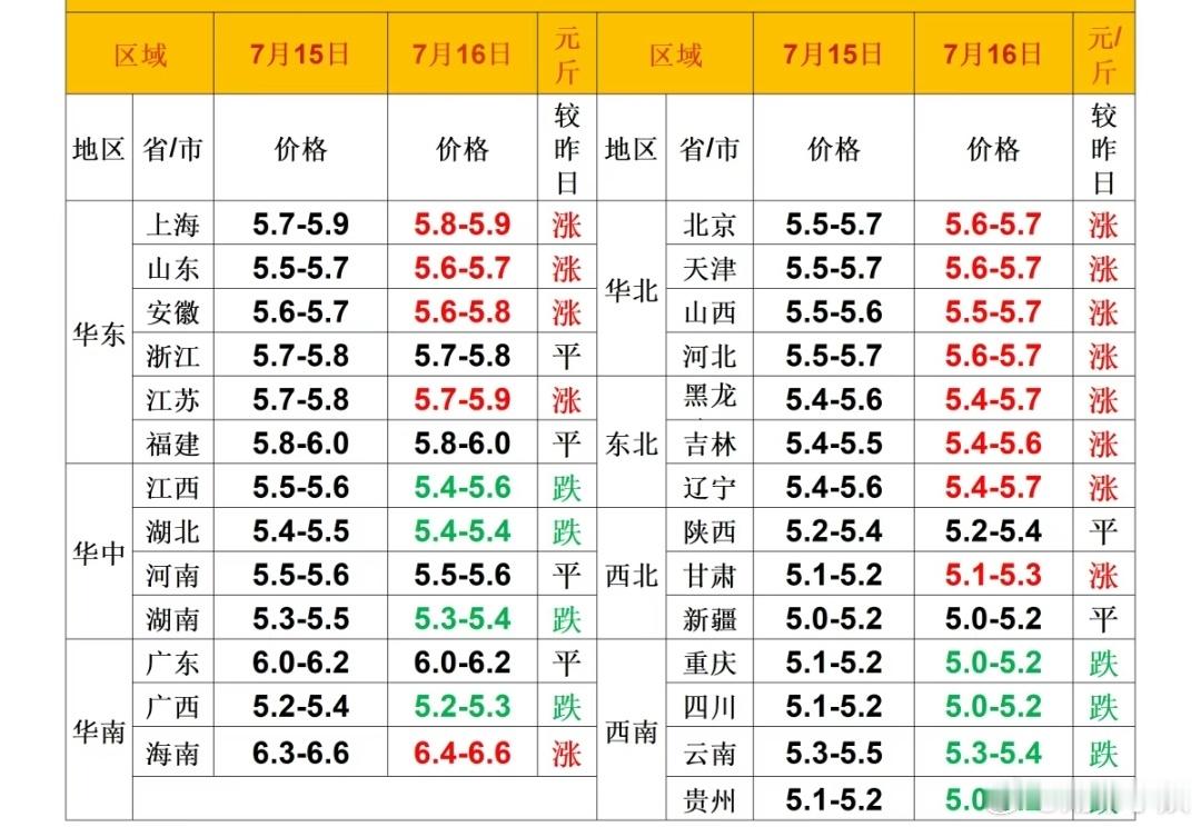 每日猪价 