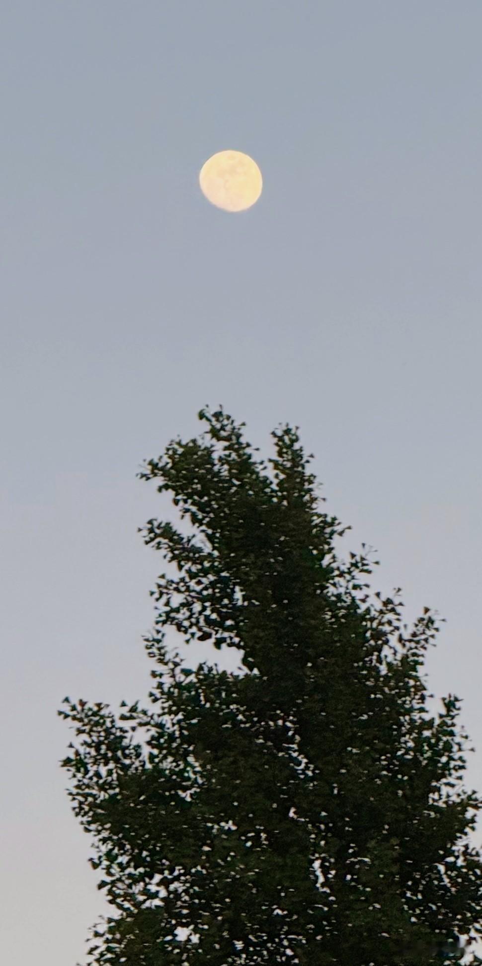 刚刚拍的月亮
愿天下人五一节团圆美满！