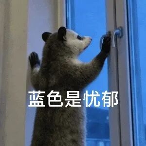 可惜可惜 