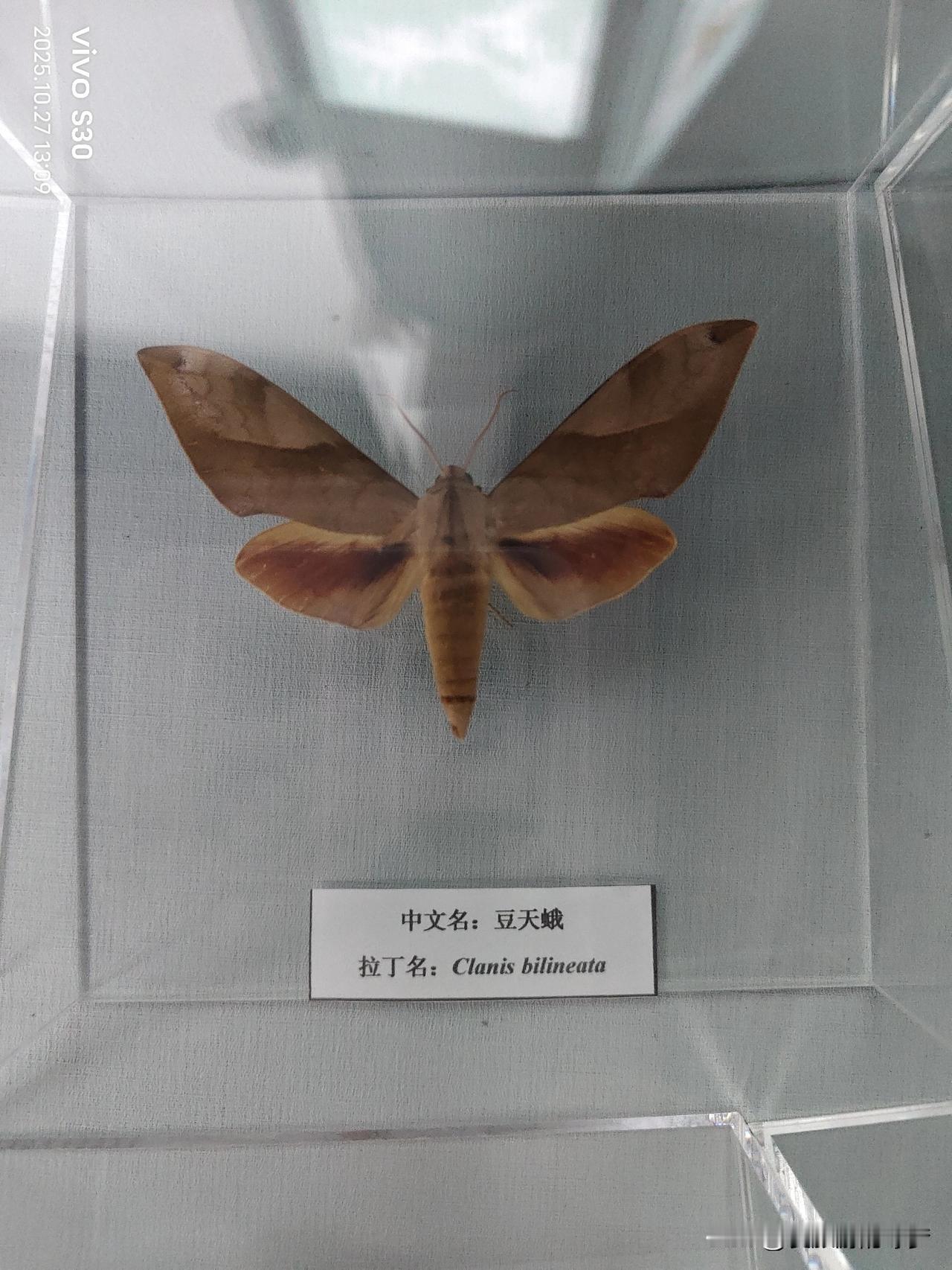 冬日生活打卡季