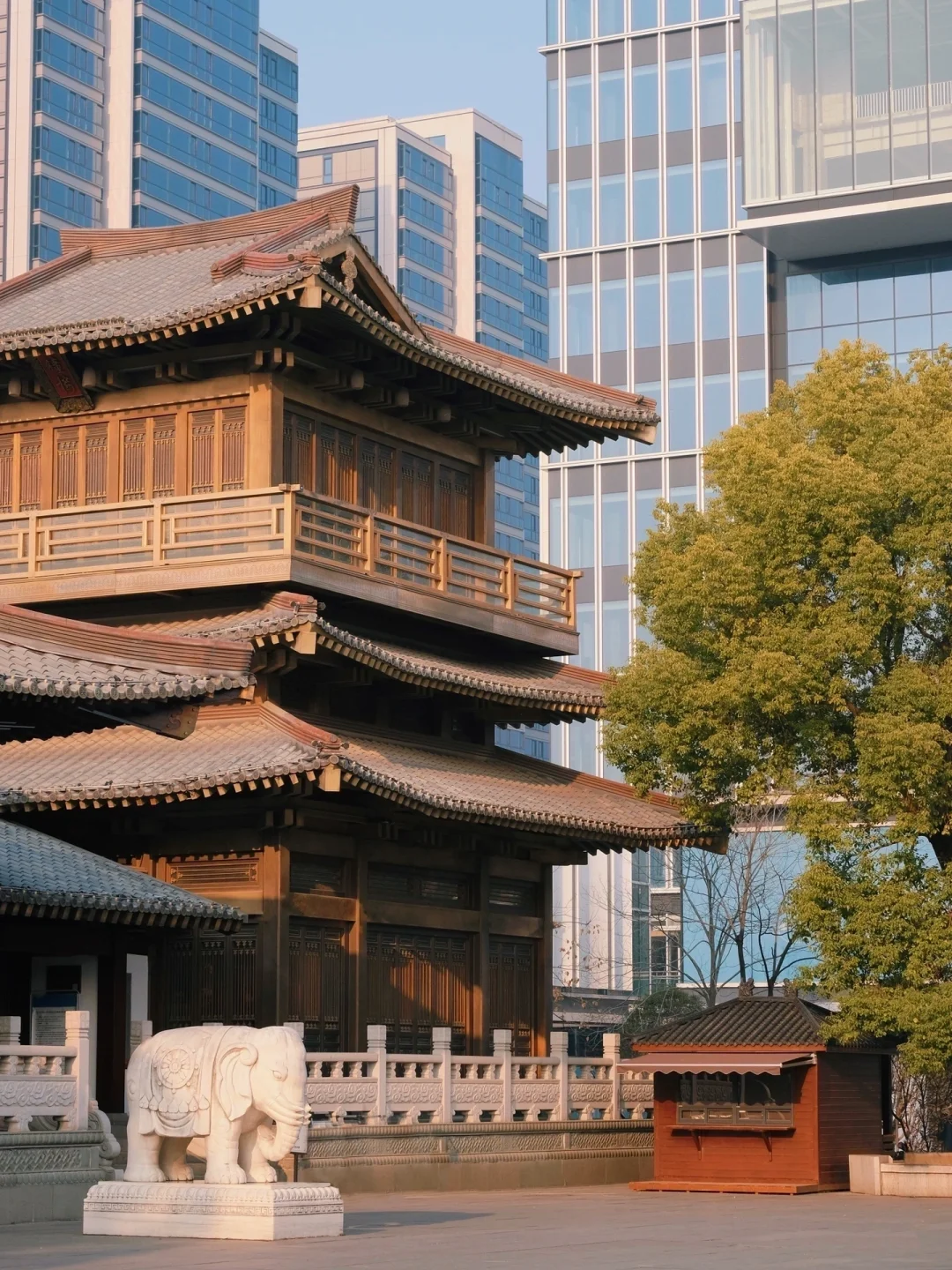 谁懂啊⁉️杭州运河边真的很适合City Walk