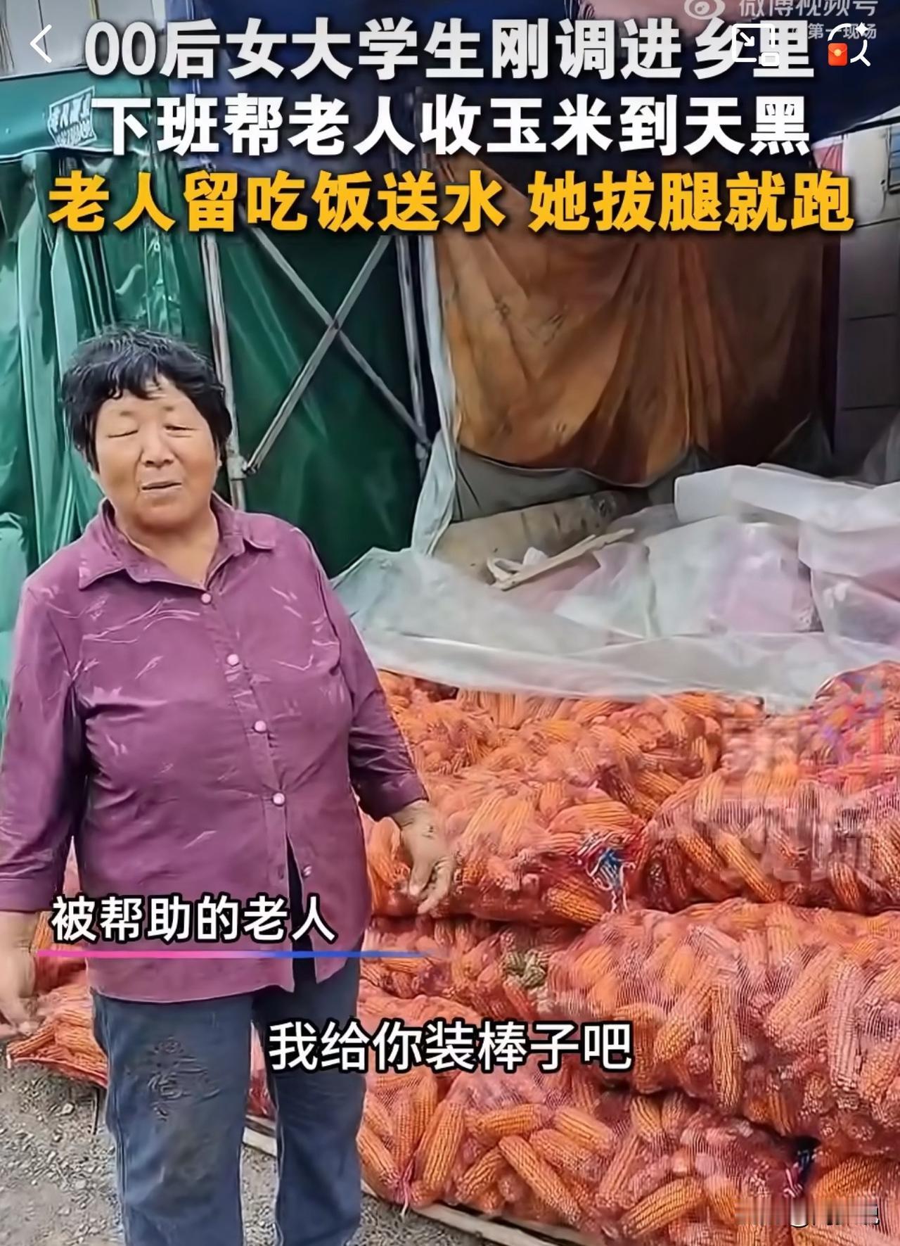 “真是太招人稀罕了！”河南开封，一位刚调当地的00后女大学生，主动帮老人收玉米到