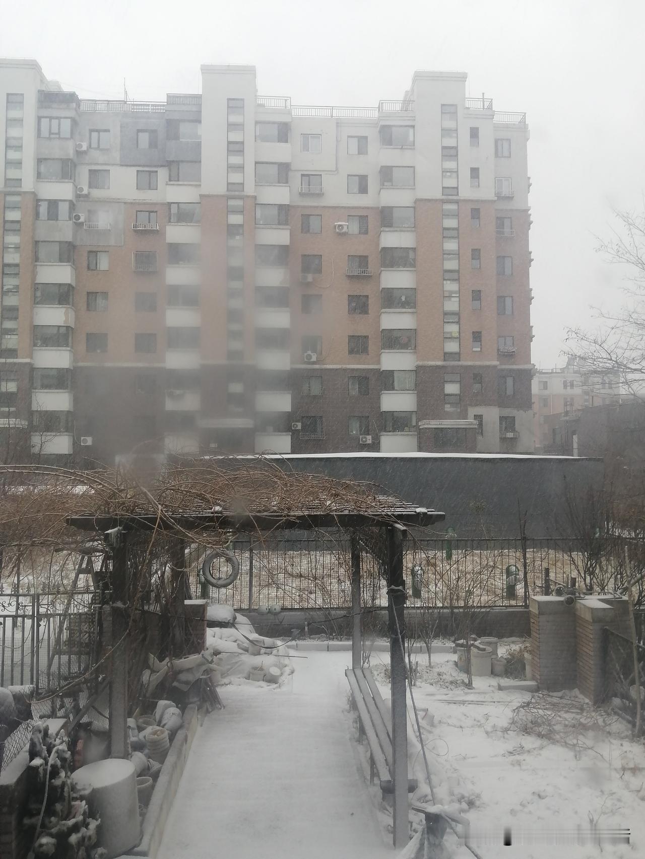 《❄️被雪困住的日子，楼下小院子变成了童话世界》
 
今天一拉开窗帘直接被治愈到