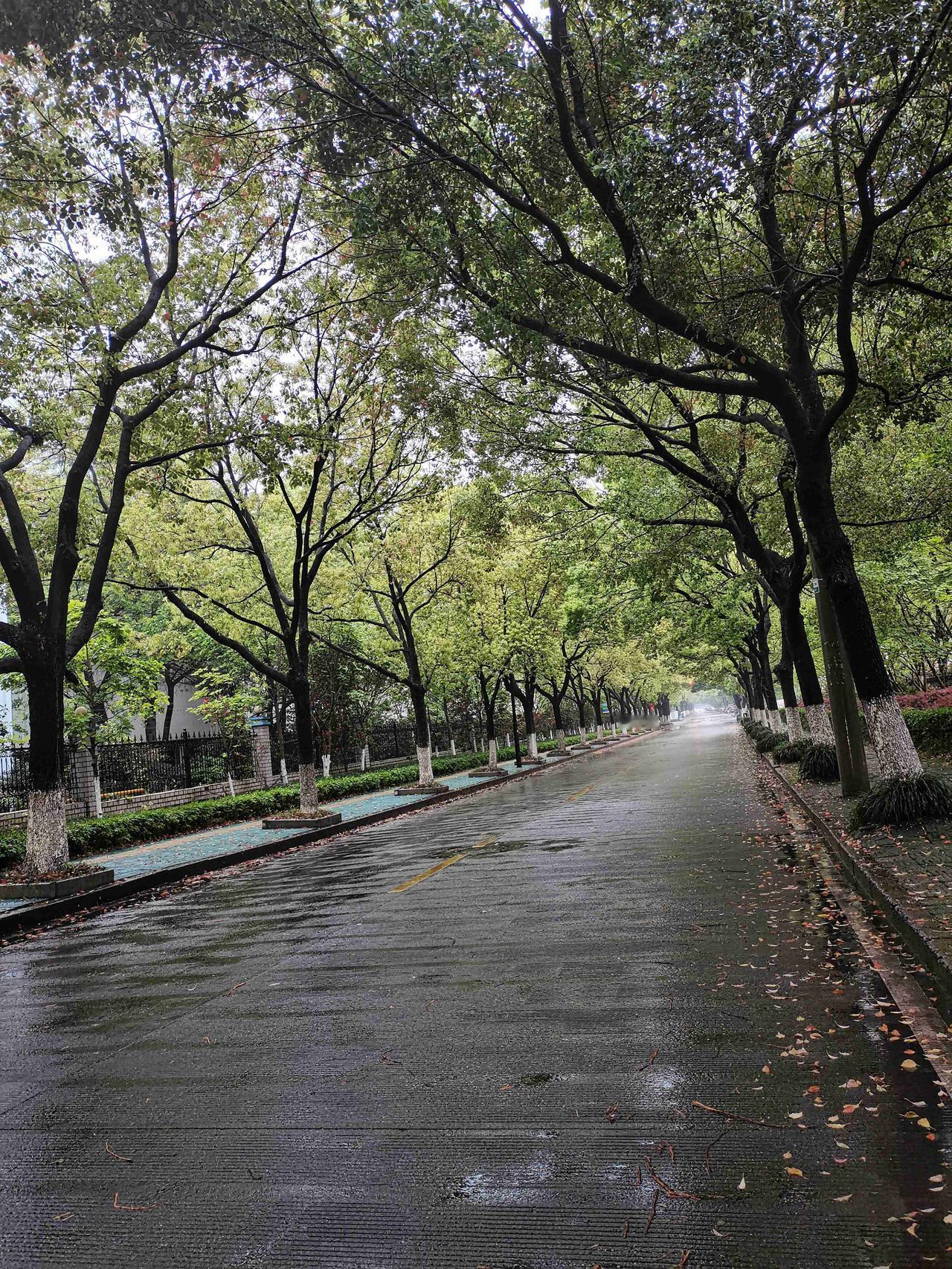 晚上写情书那男的发信息，
问我公主号怎么不更新了。

我一阵烦躁和微怒，
一周前