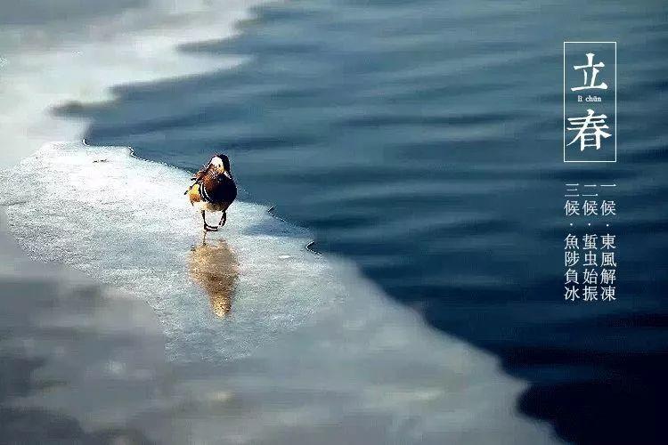 【文化中国行·人间好时节｜立春：春归人间 岁岁新生】

当第一缕春风拂面，带来泥