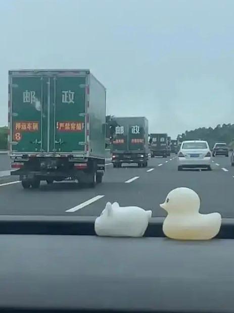 高考倒计时的钟声越来越近，高考试卷押送车队震撼瞬间冲上热搜，全国多省市网友接连晒