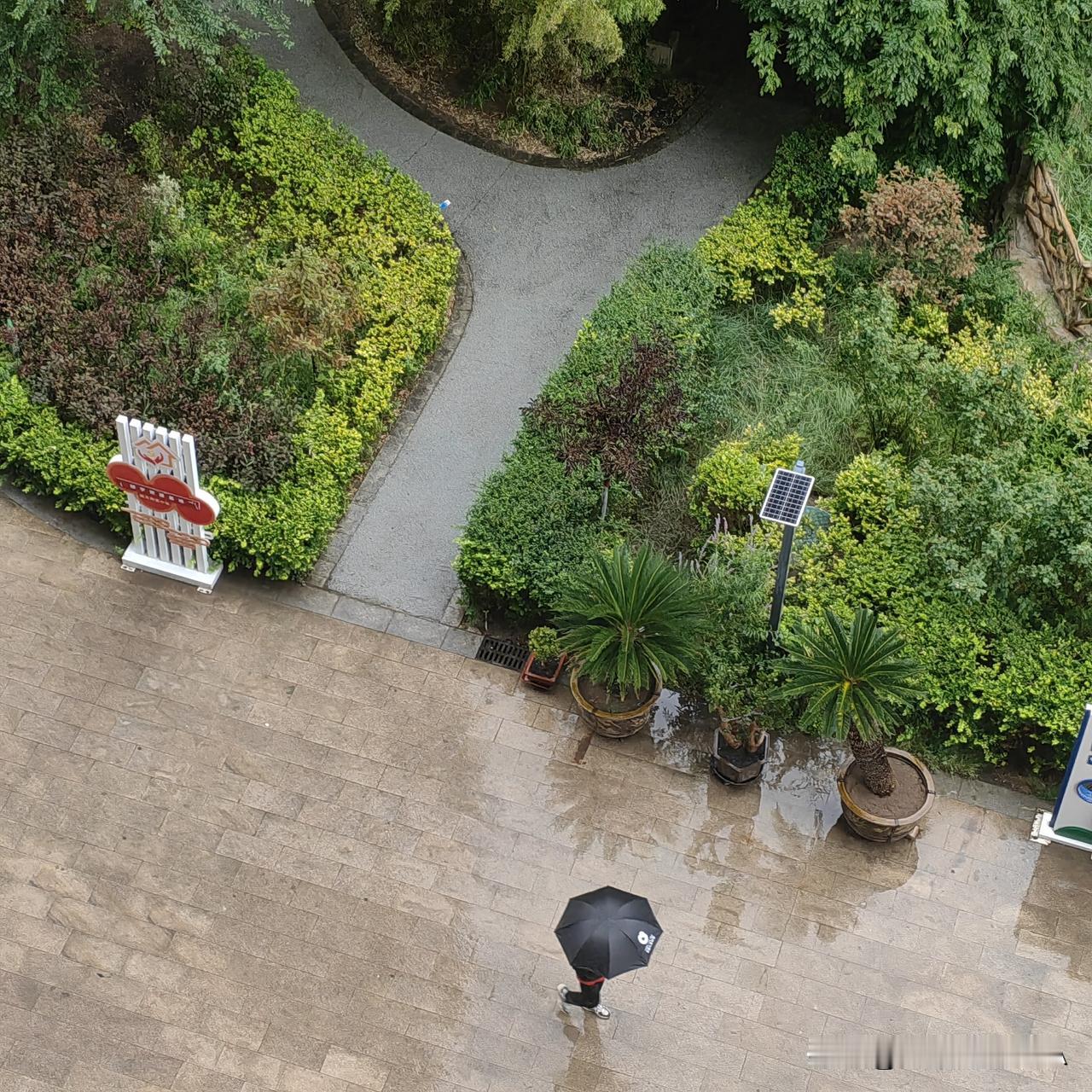 兰州的雨真的是千呼万唤始出来，

这几天的那种高温，感觉真的是把人快烤熟了

大