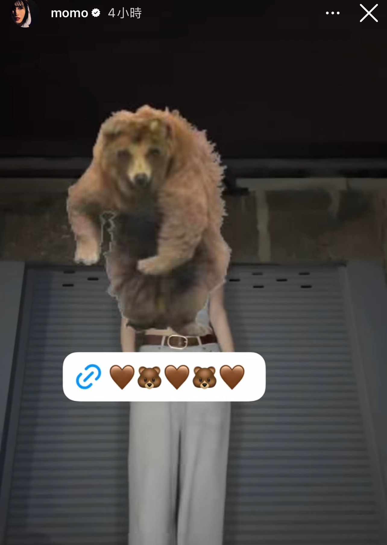 她每次给自己配这种🐻🦝gif图的时候都好康爱 