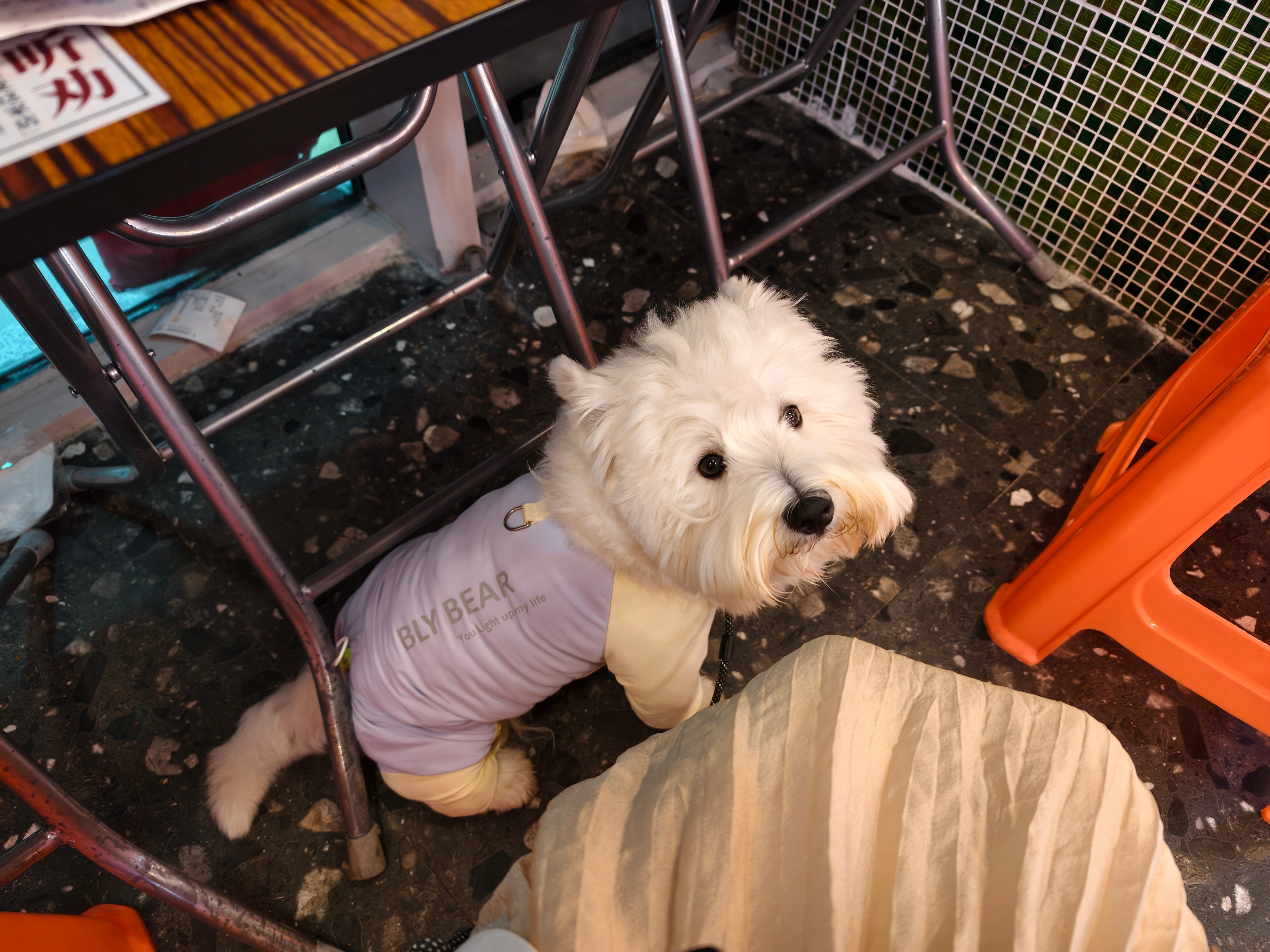 上午还是都市丽人晚上就来吃螺蛳粉了香啊 