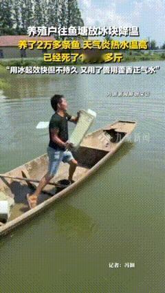 多读书真的有用！
不信你看给鱼塘放冰块的大哥，
不仅浪费1000多块冰块，而且还