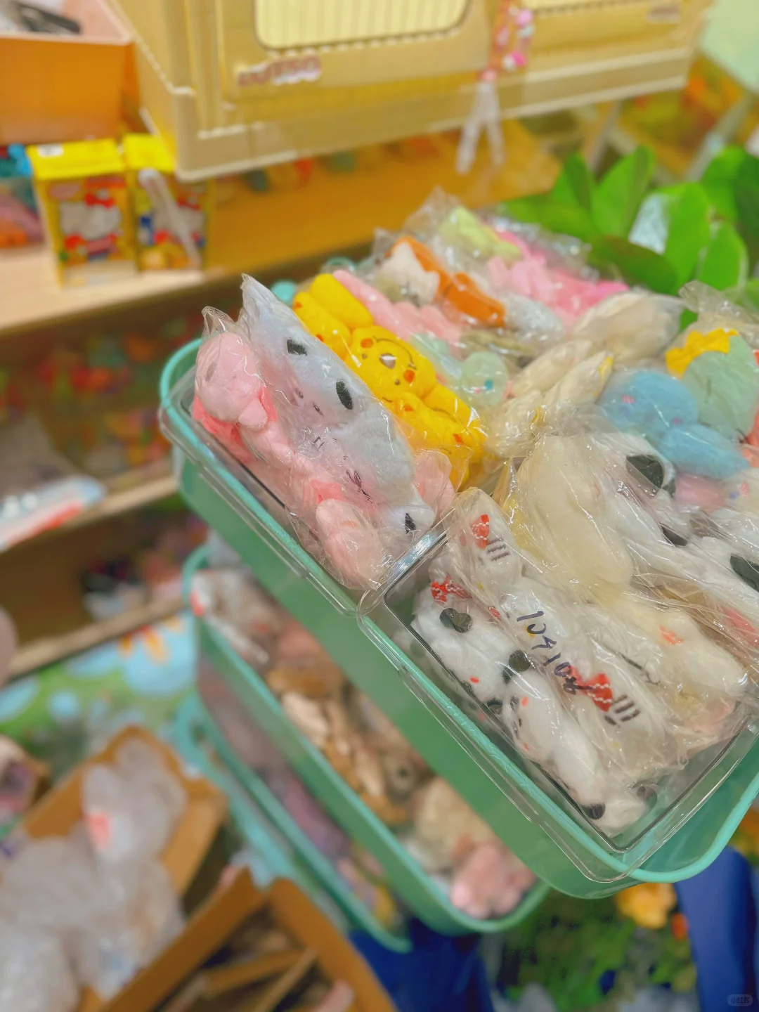 焦作｜这小店！哪有女生进去不疯的！
