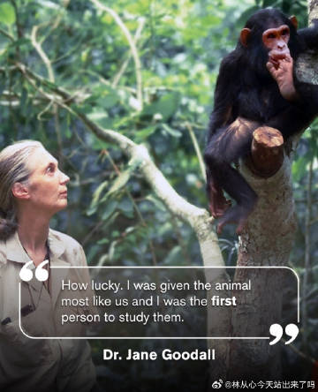 我见过珍妮古道尔，大一的时候，在天佑会堂，室友丽猪是社团部的绿色之家的...