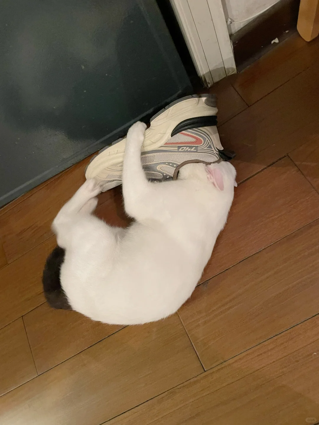 什么叫智商的参差