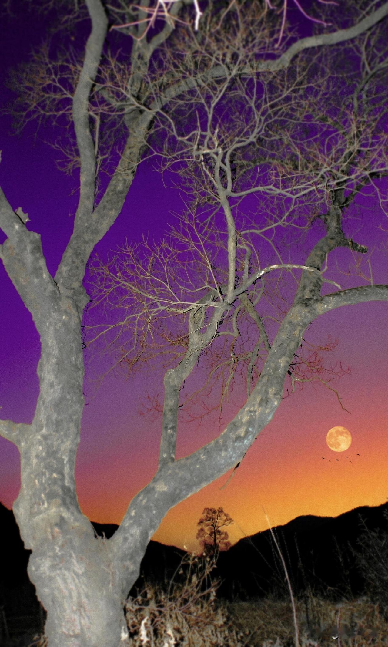 黄昏的橘光，是年度最治愈的风景
2025快收尾，最爱的还是黄昏时分。

时常想找