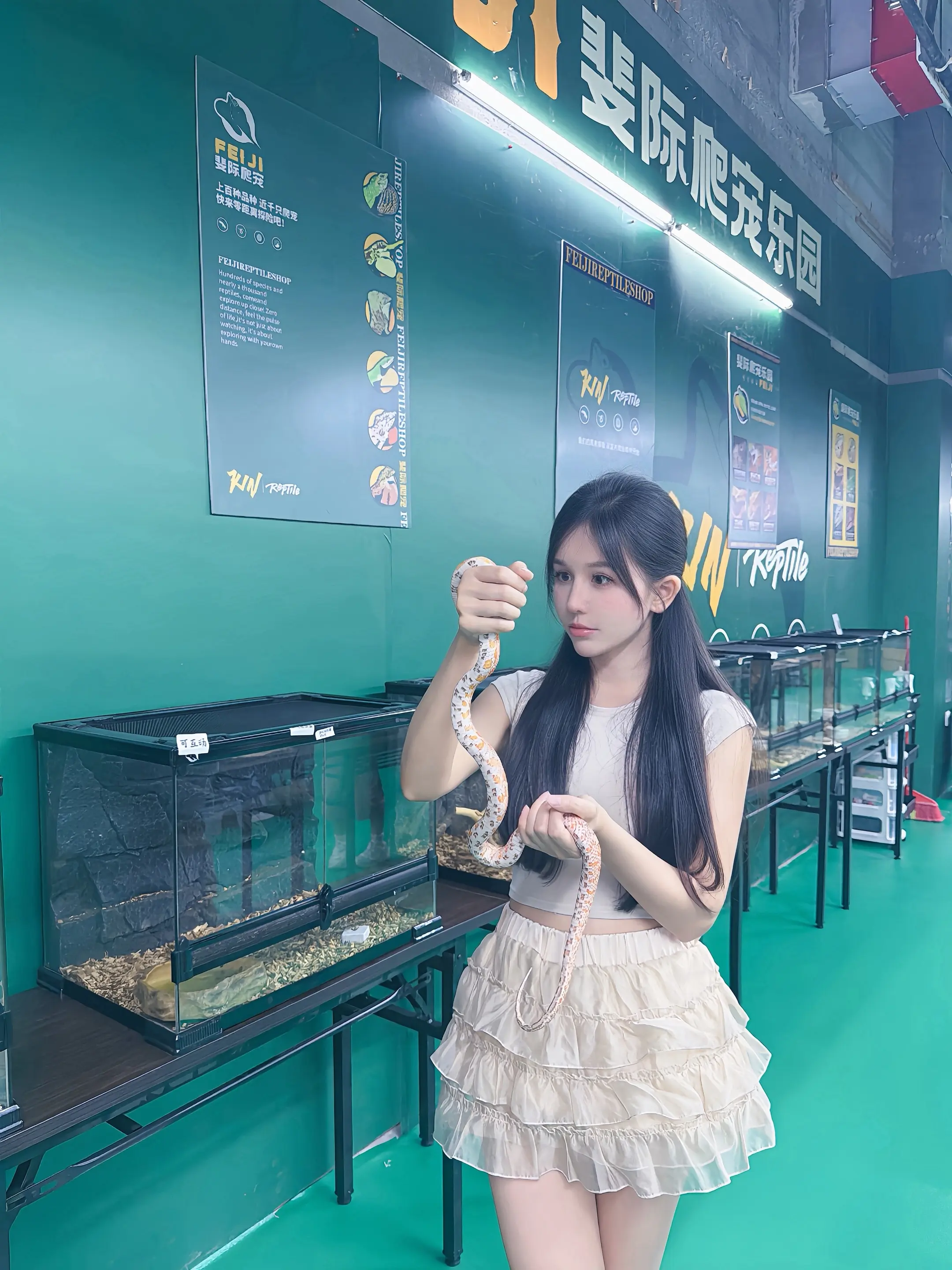 我的爬宠店营业啦