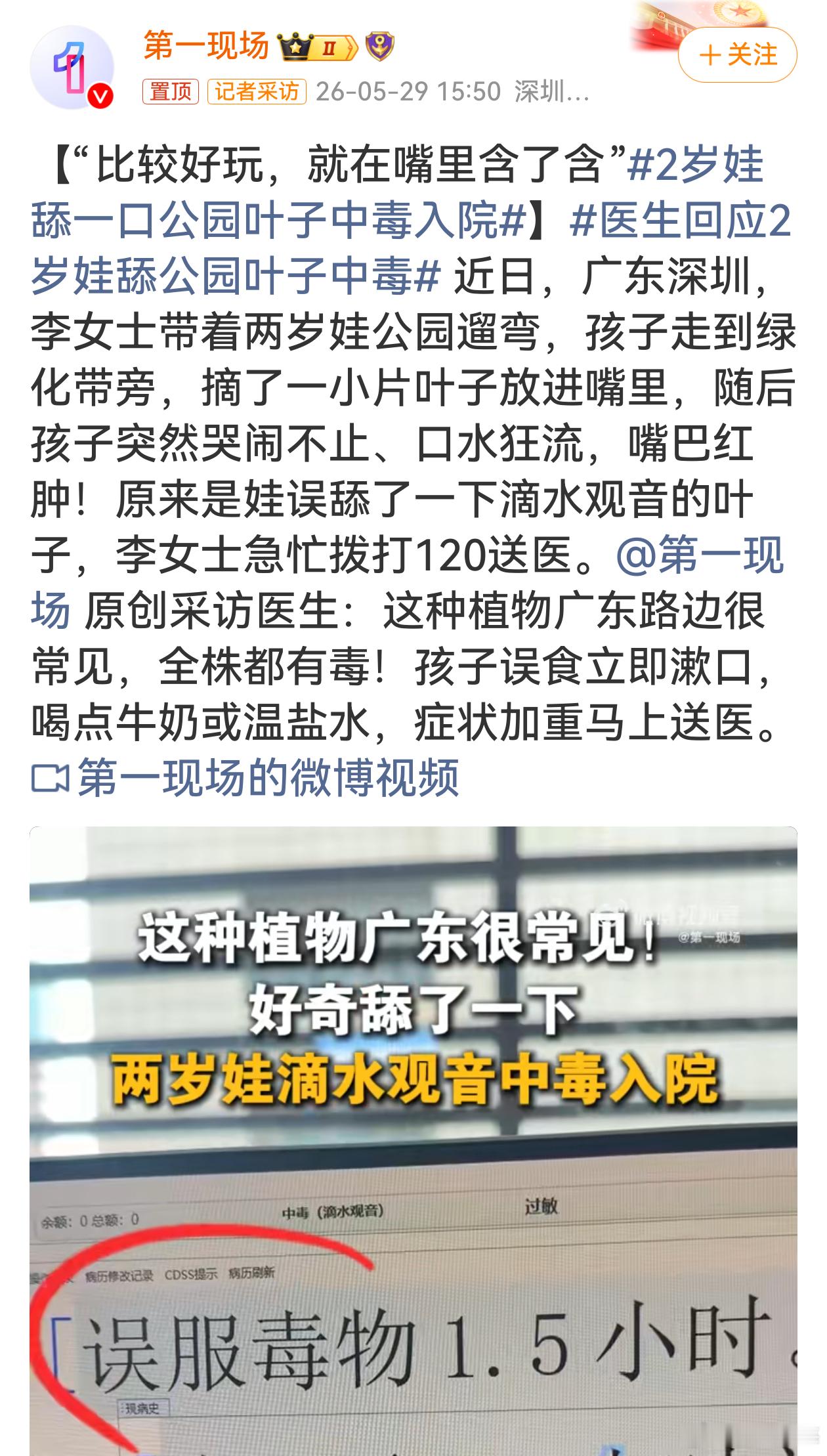 2岁娃舔一口公园叶子中毒入院养娃路上到处都是隐形危险，一片公园叶子就能让孩子遭罪