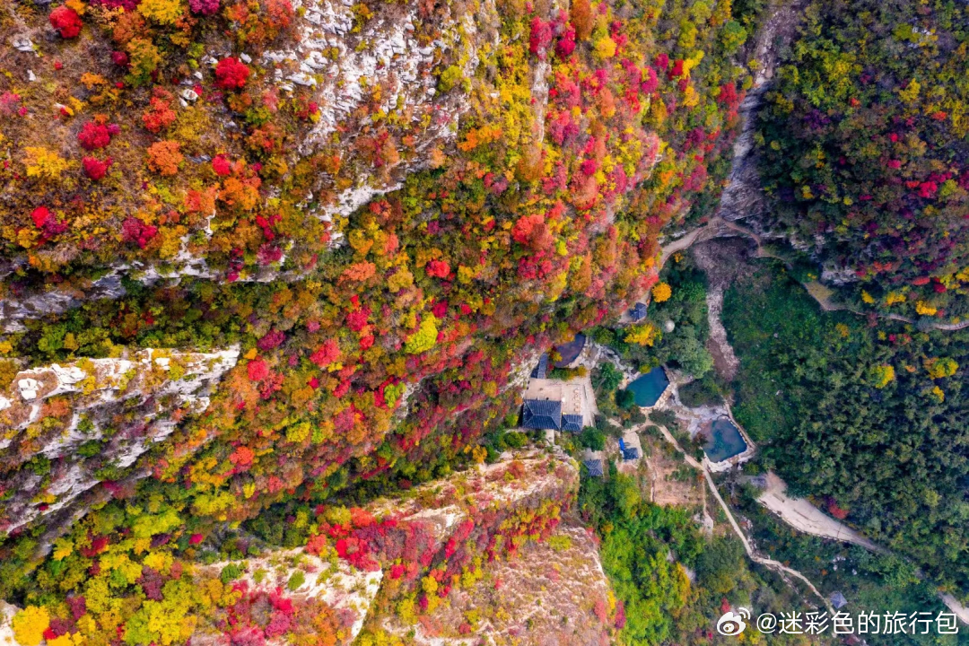 🍁山东的秋天，终于把山野染成了油画！齐鲁大地藏了好多赏秋宝藏地，不用远赴川西，