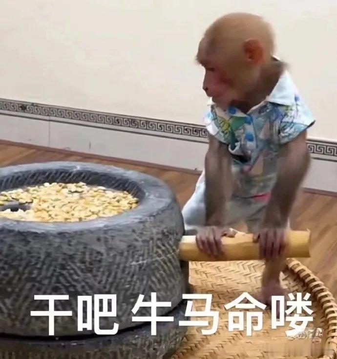 其实粉景甜这几年有一个特别大的好处 就是我的抗压能力特别强。 