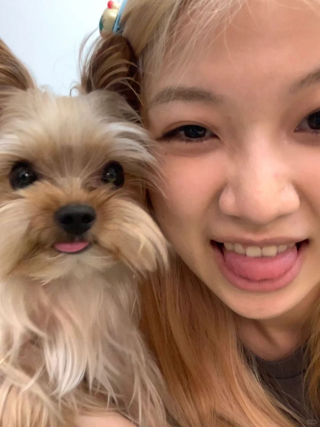 家里有个小粘人精