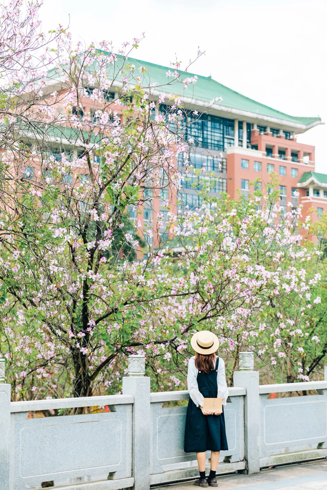 师姐带你游华农🌸路线图都给你画好了🚴