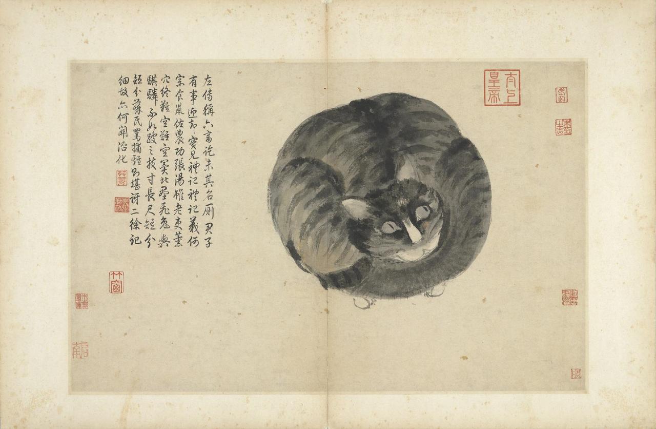 【吃剩的蛤蜊、睡懒觉的家猫，全被沈周画进国宝画册】

谁能想到，如今藏于台北故宫
