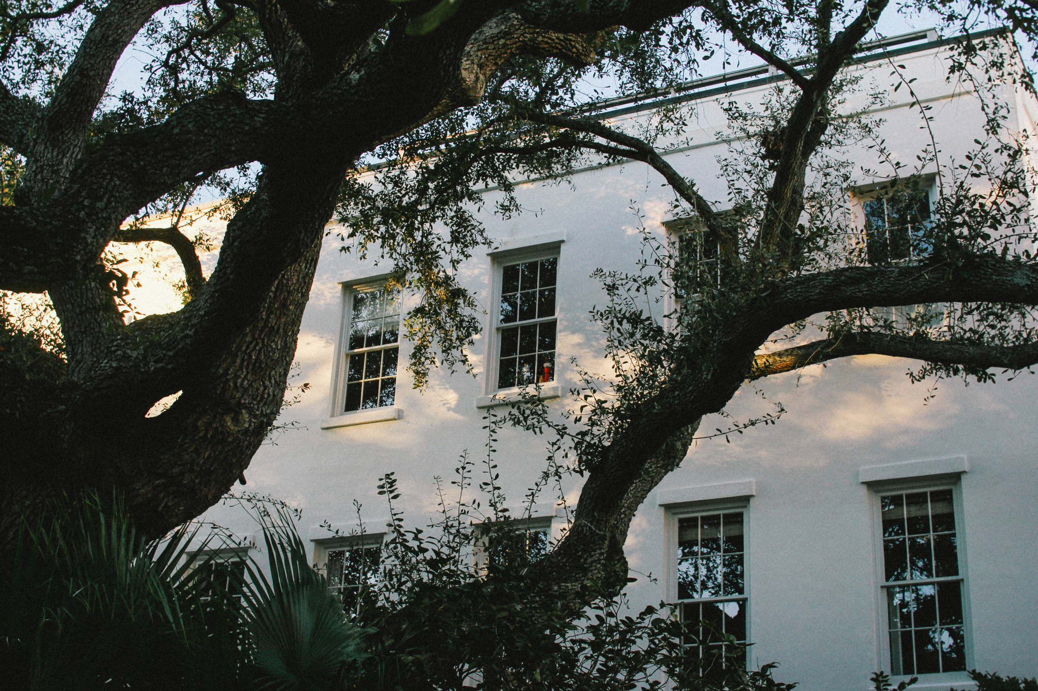 Old Oaks, Charleston  | by Misplaced Len
