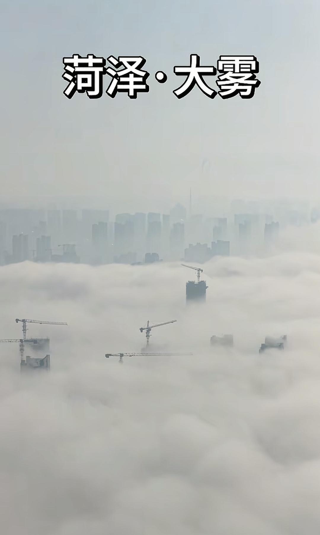 雾，。＃雾＃菏泽＃平流雾 ＃大雾天 ＃云雾缭绕人间仙境