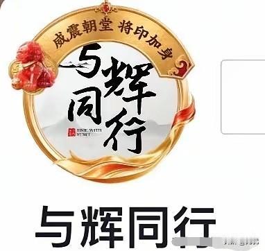 “威震朝堂，帅印加身”
“与辉同行”的头像佩饰从何而来？
 
刷到不少网友截图，