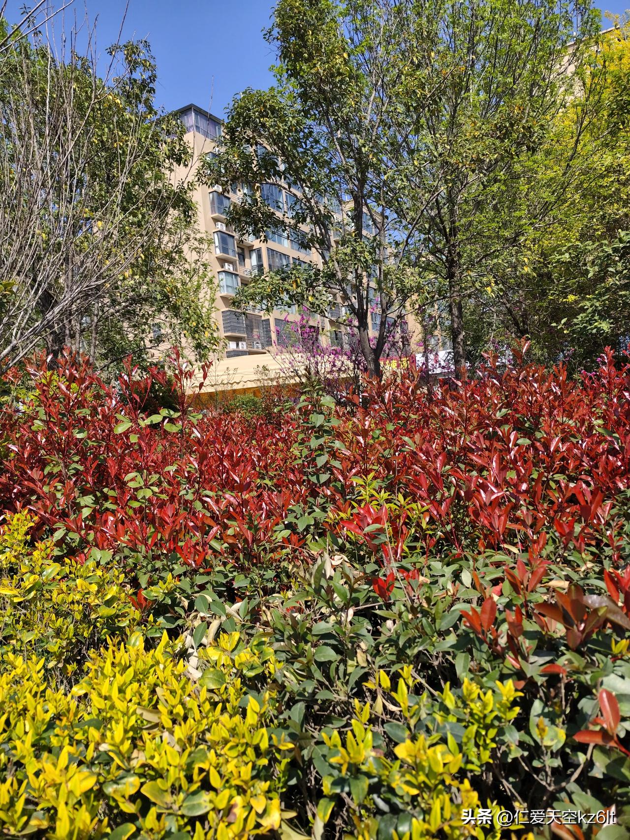 路边的花悄悄开了，风也变得温柔，阳光洒在身上暖暖的，连空气里都是清新的味道。不用