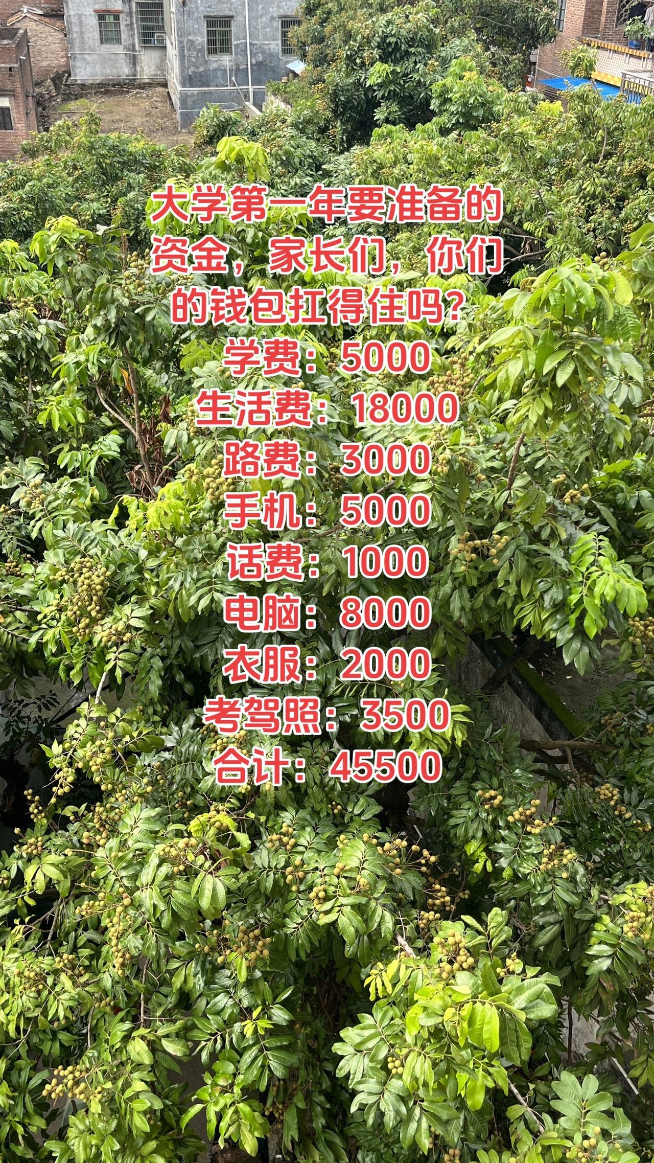 高考结束了，家长们该摸一下钱包了。进大学前，家长大概应准备45,500。再次祝愿