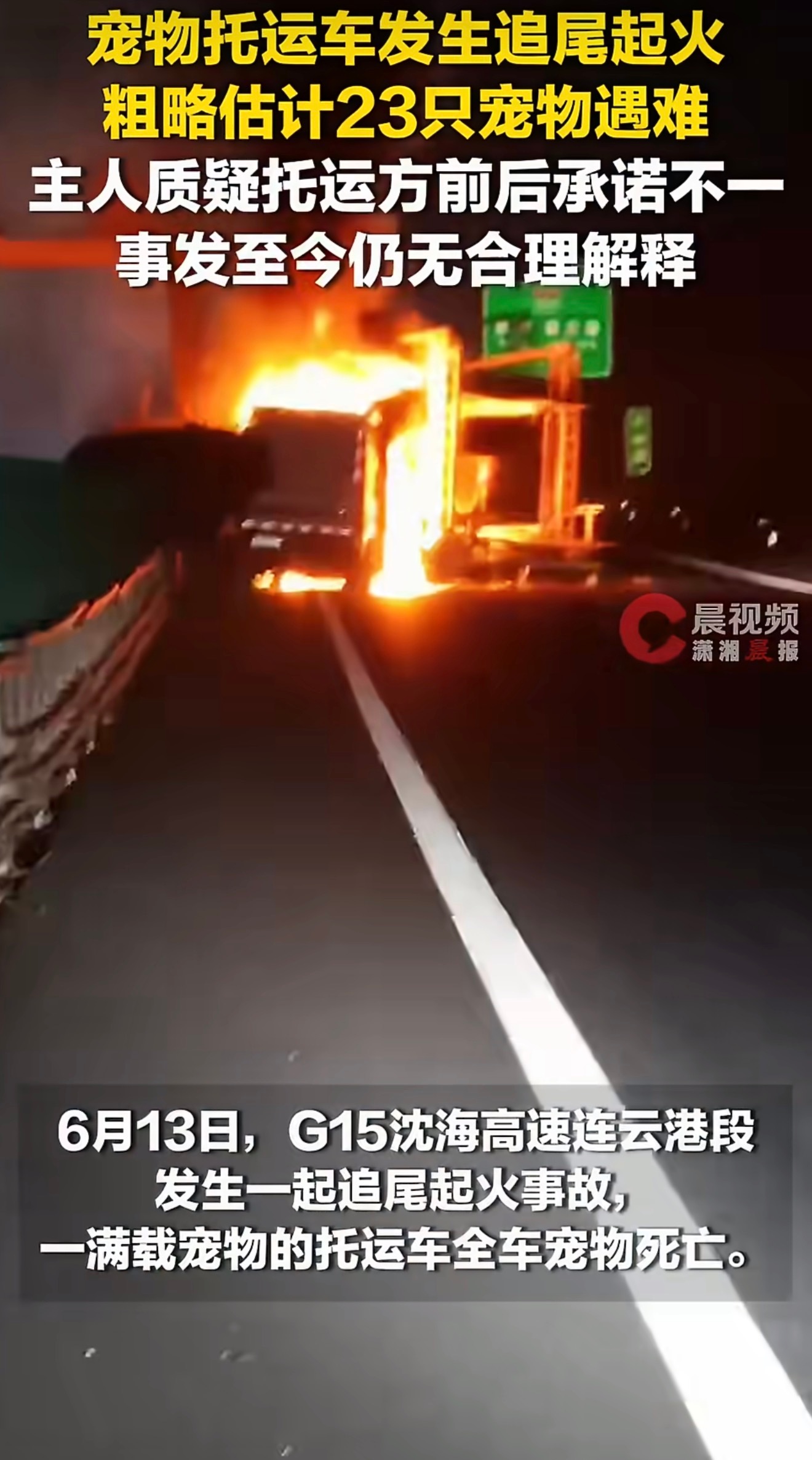 托运车起火23只宠物死亡主人发声23条小生命全部葬身火海，每一只都是主人捧在手心