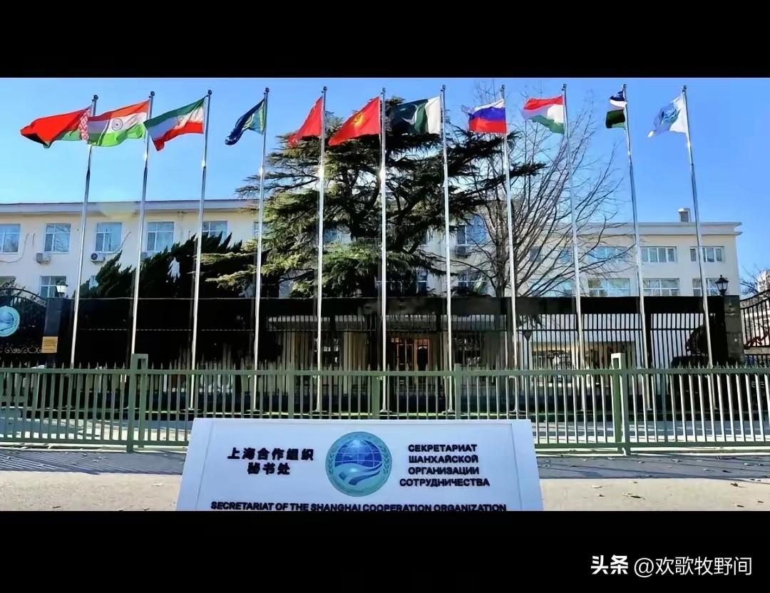 上合组织发声支援伊朗
难得强硬一次！
上合组织声明，支持伊朗维护主权和领土！
此