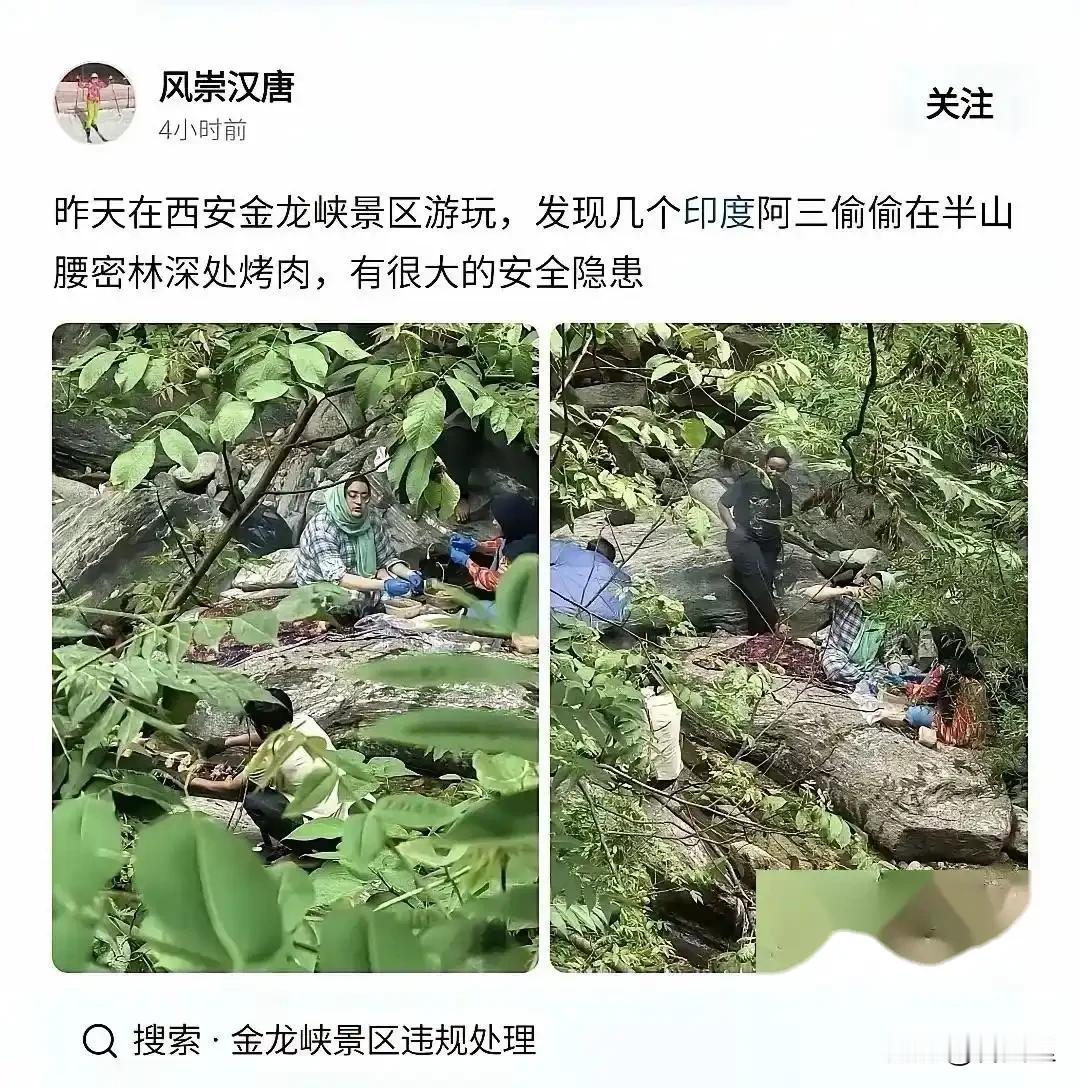太糟心了！
去趟秦岭金龙峡，本想寻个清净，谁知半山腰的林子里竟飘来一股烤肉味。