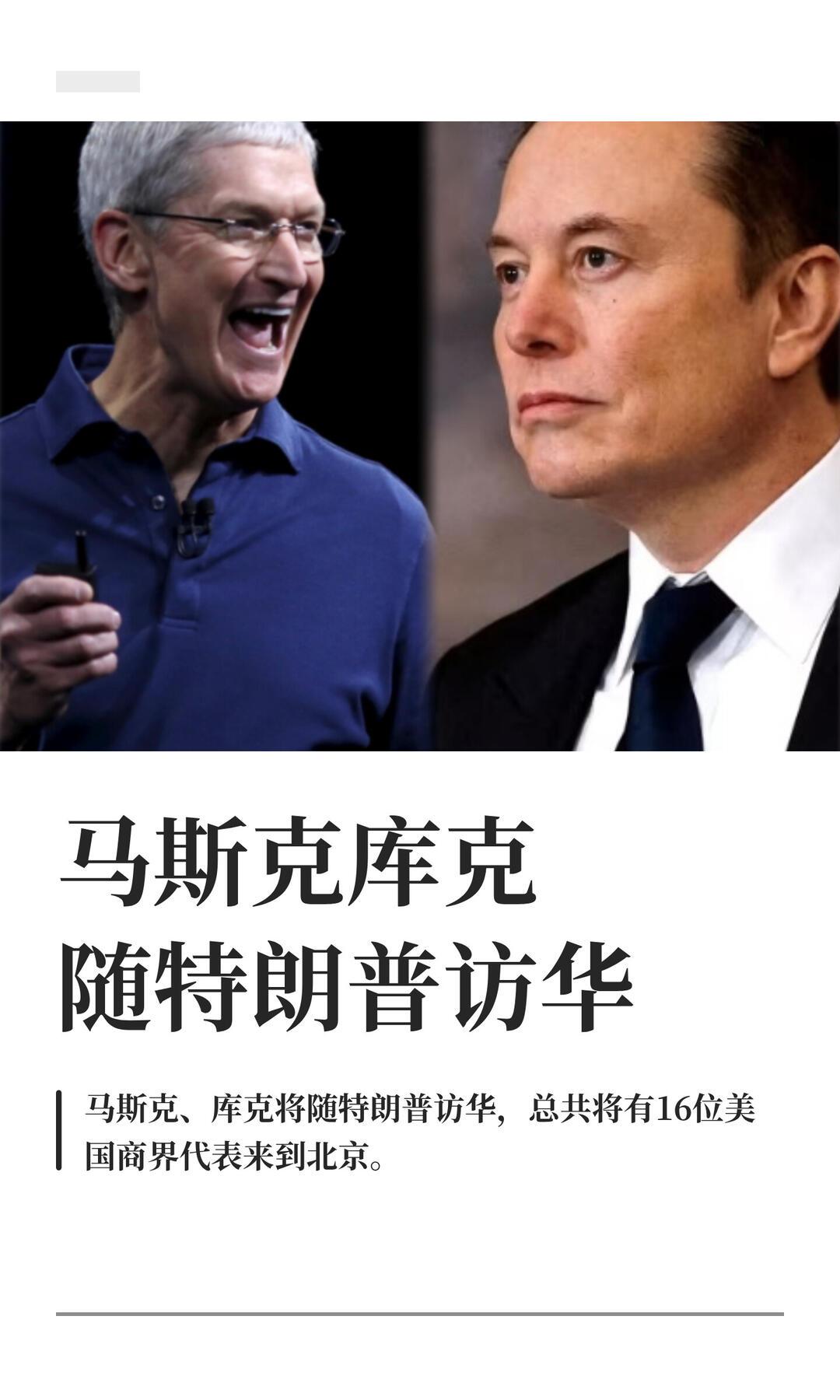 两人商业头脑不在一个维度：库克是“守成+放大”的顶级运营与利润大师；马斯克是“从