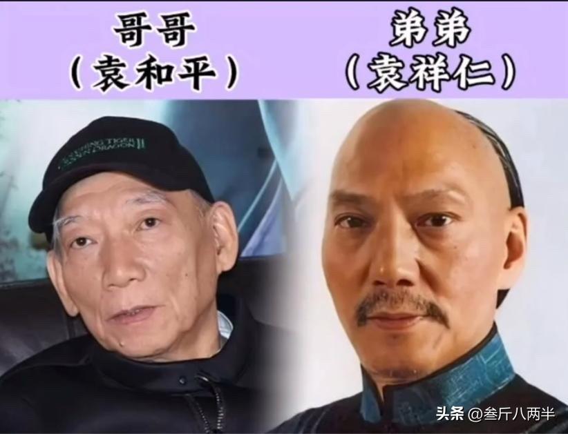 这几对亲兄弟，虽然流着相似的血，但在演艺圈里的发展轨迹和观众对他们的印象，却往往
