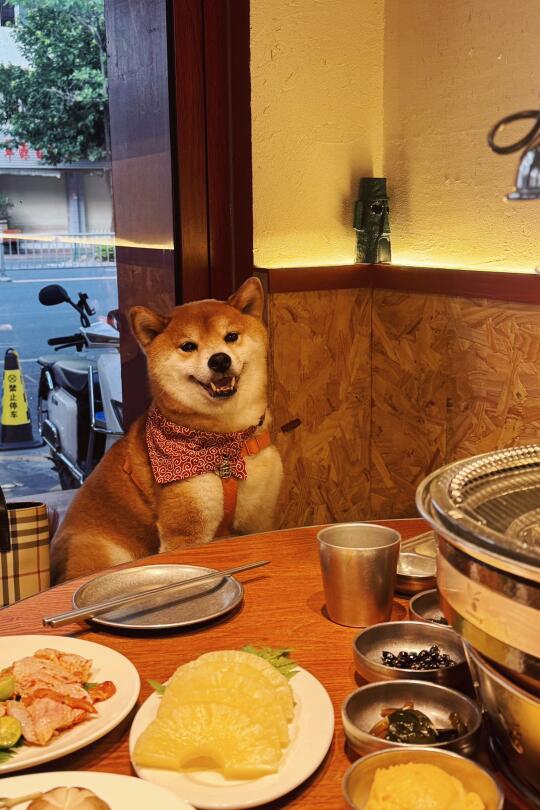 人！一起吃烤肉了喂~