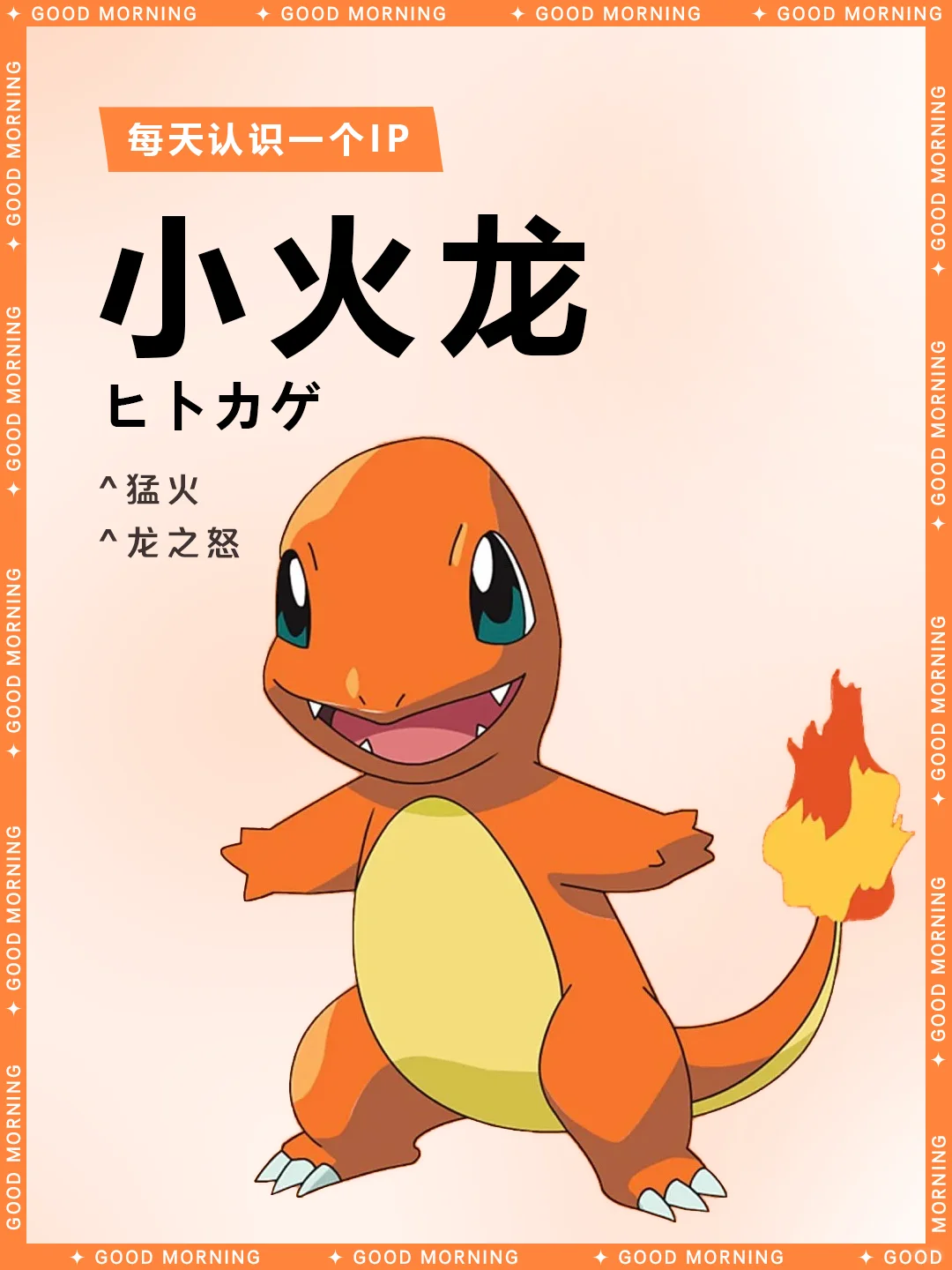 神奇宝贝 I 小火龙 🔶