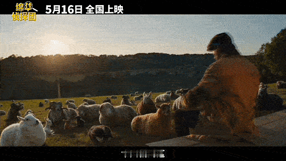 电影绵羊侦探团绵羊侦探团定档小黄人导演新作来袭，绵羊组团变身呆萌侦探查案，大咖演