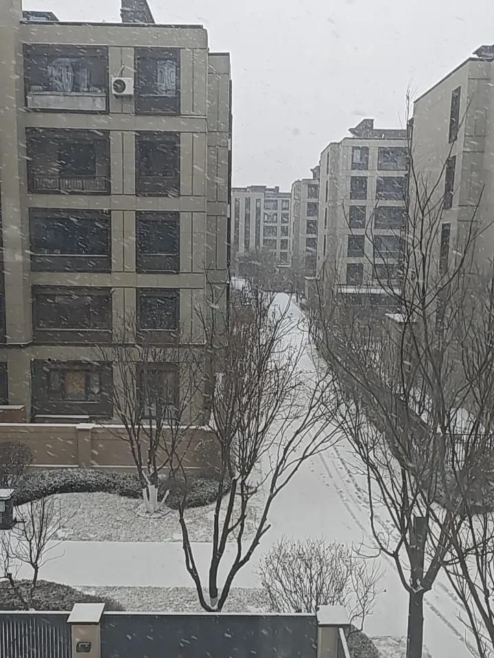 沈阳12月4日道路结冰黄色预警信号：
预计4日白天至夜间，沈阳市浑南区全部街道将