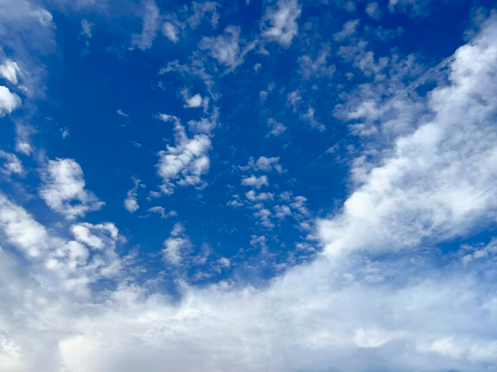 今天的☁️有自己的想法 