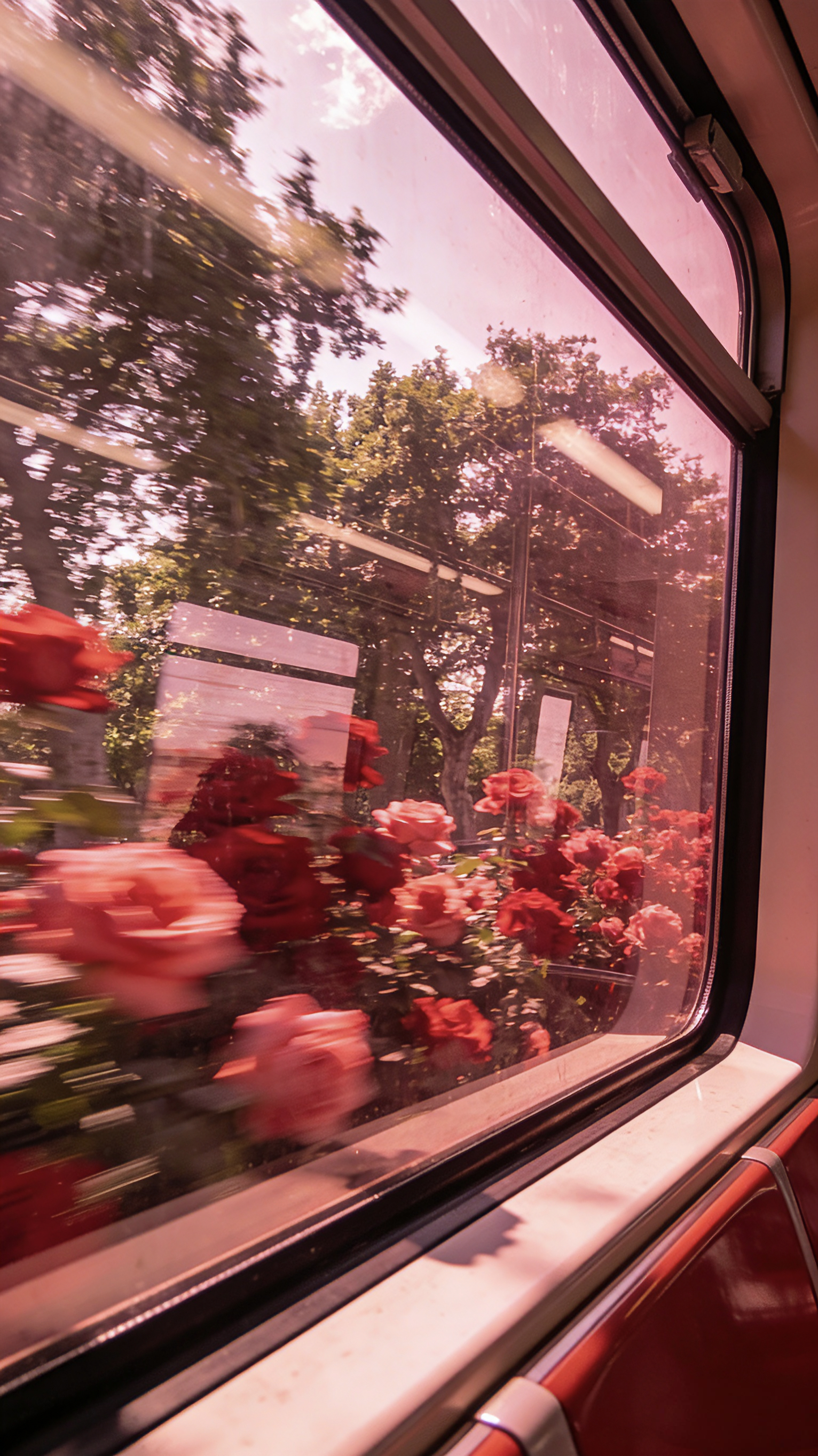 手机壁纸 | 窗外很有春夏那味儿的壁纸，红色好看还是绿色好看？ 