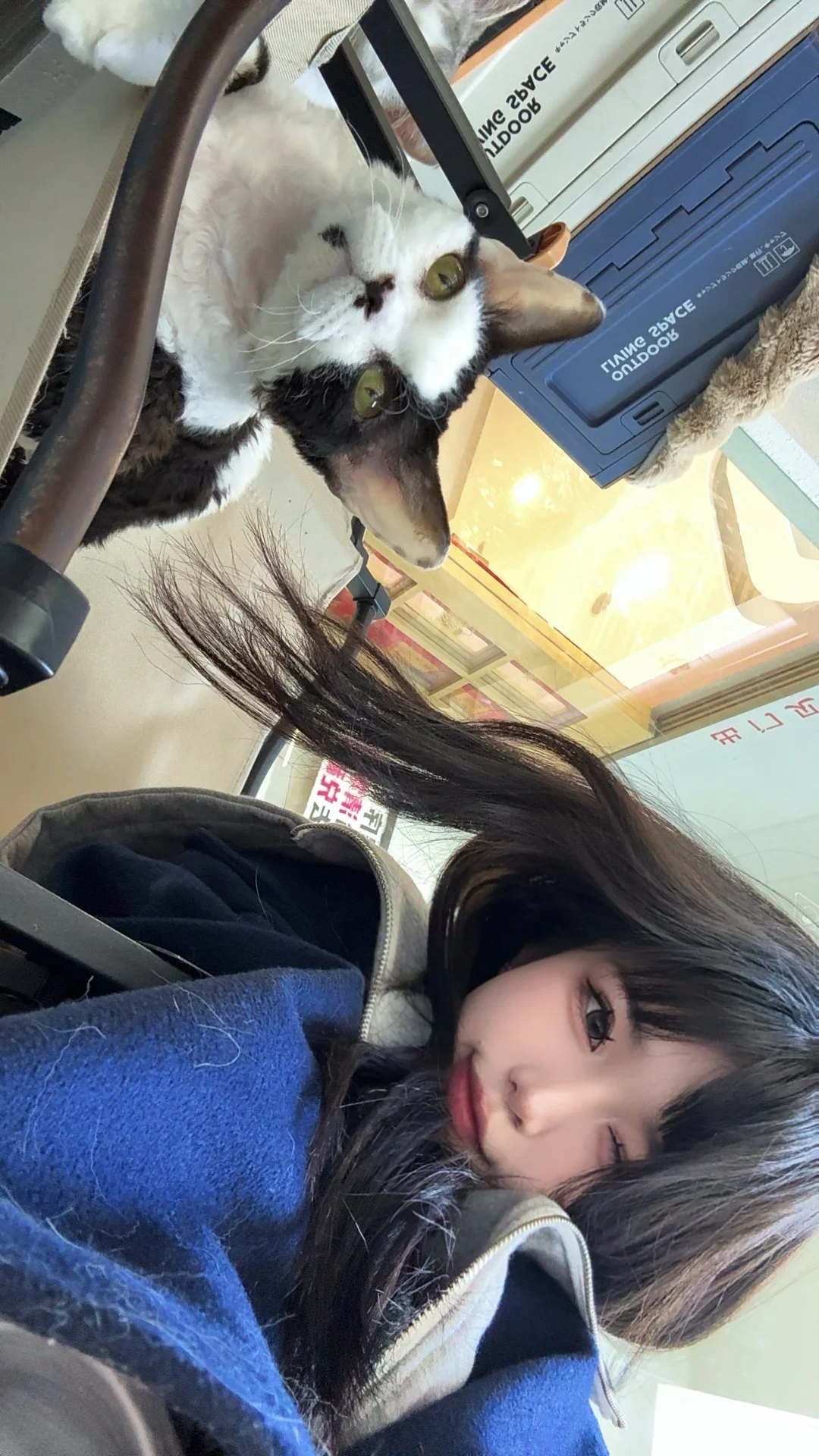 可以贴贴嘛～～