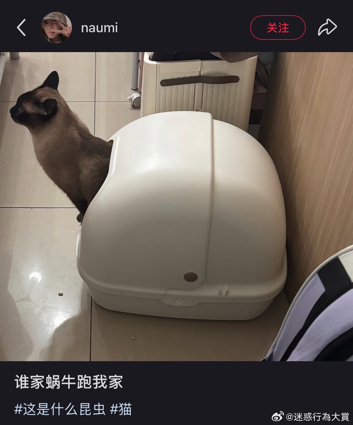 🐌 