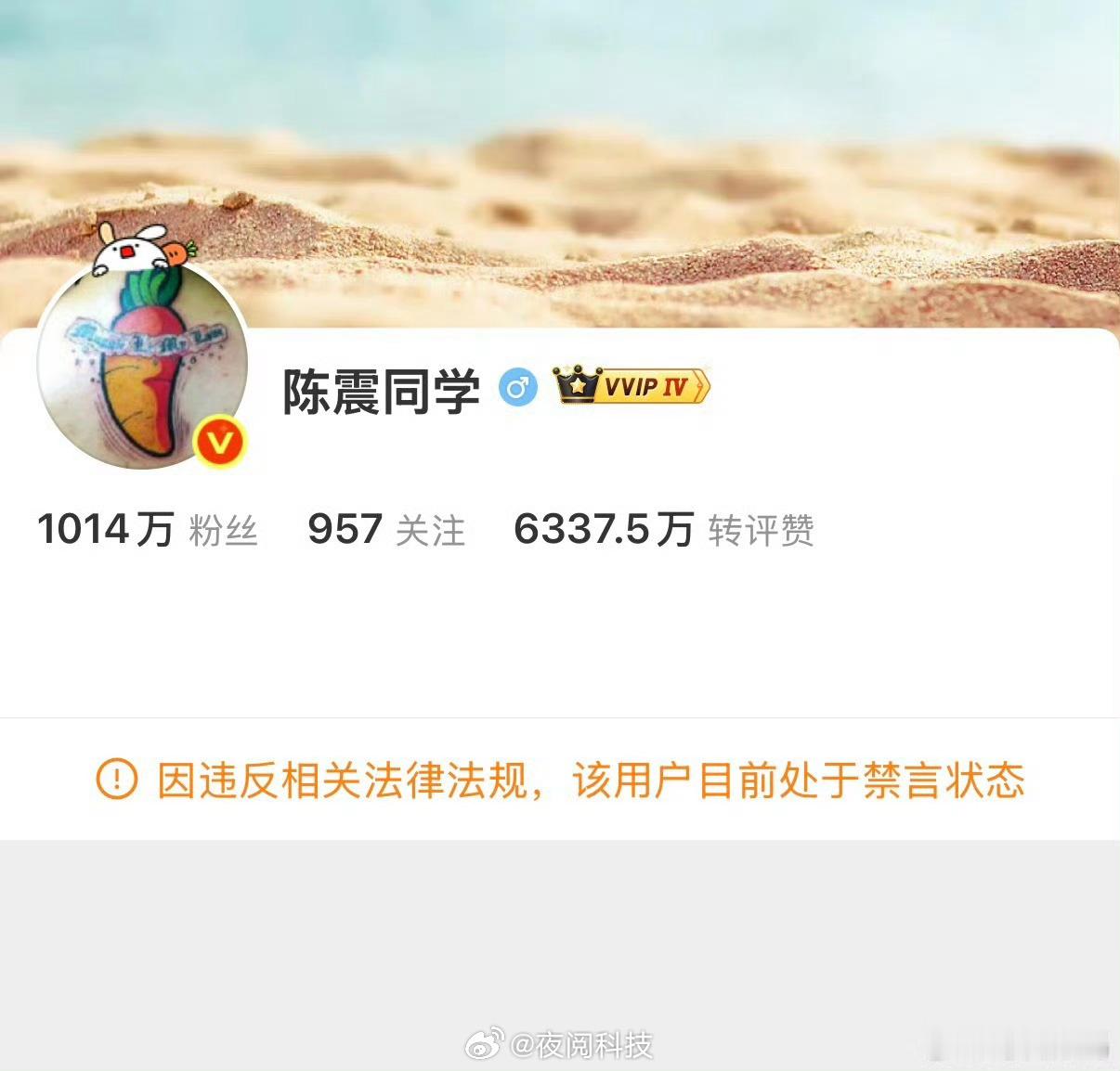 陈震偷税追缴并罚共计247.48万元经查，2021-2023年间，陈震以隐匿收入