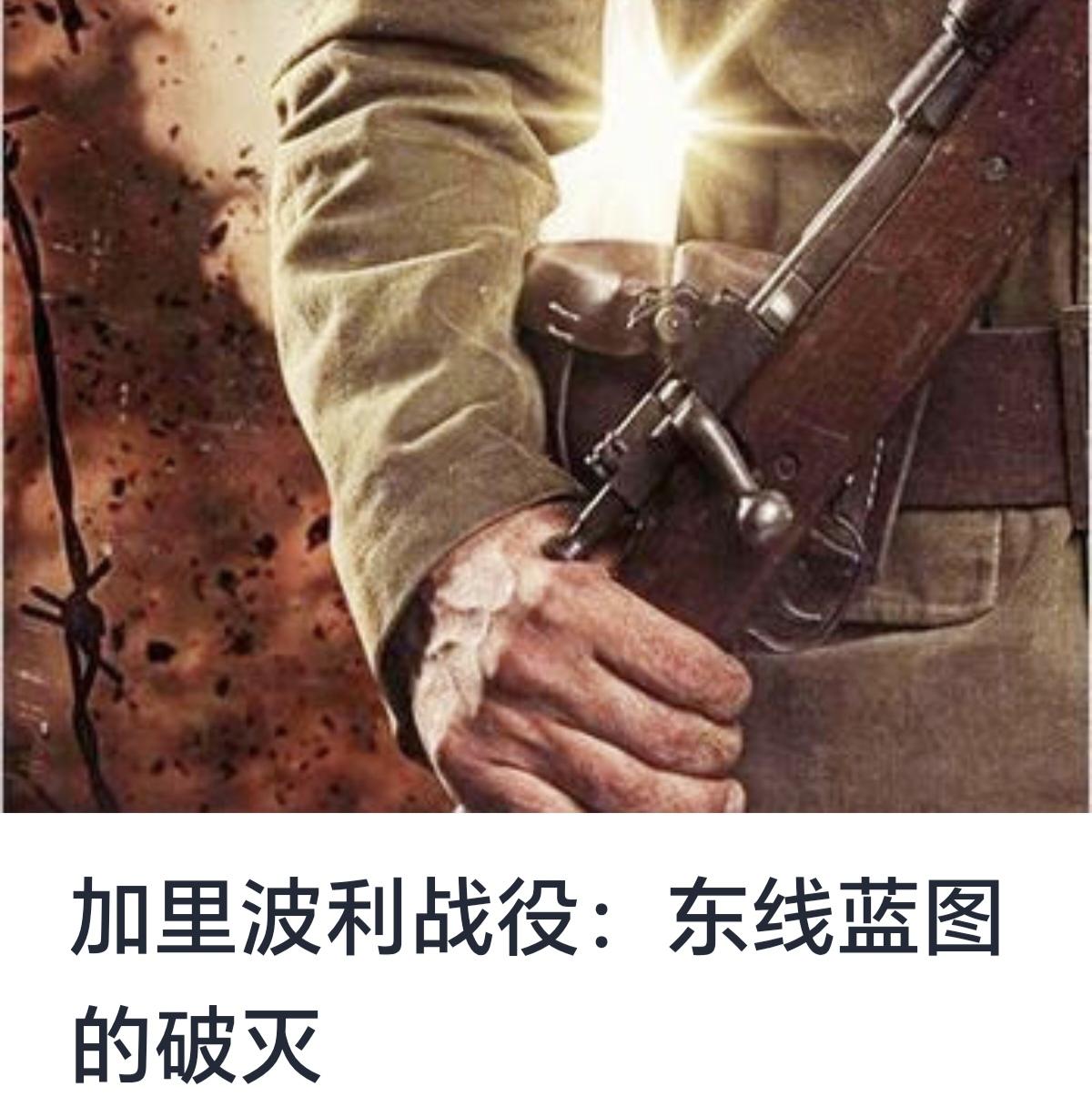加里波利战役：东线蓝图的破灭

加里波利战役（Gallipoli Campaig