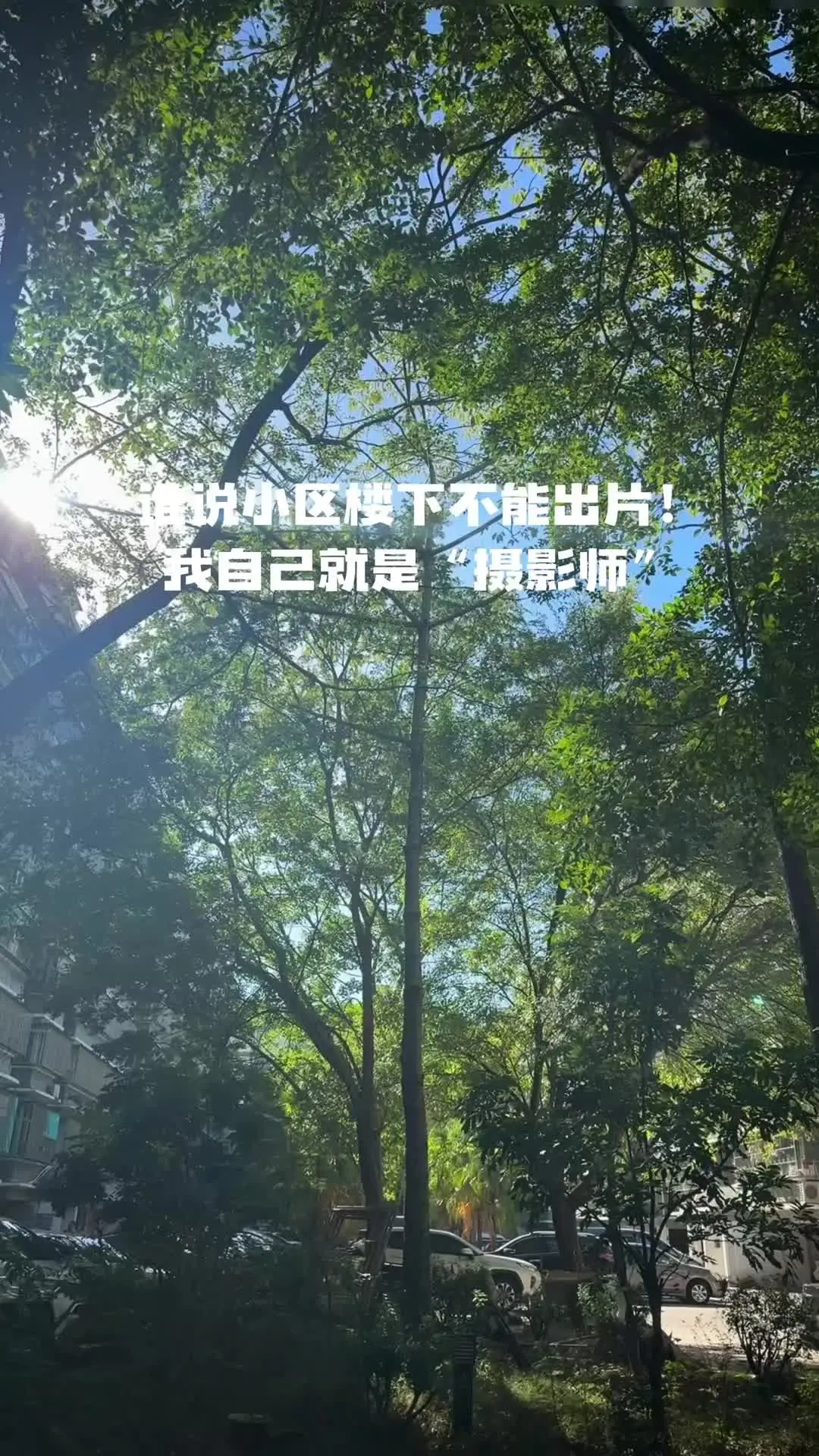 强者从不抱怨环境